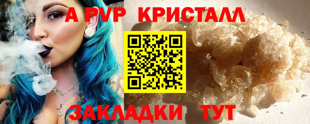 A PVP СК КРИС Самара