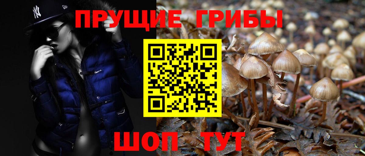 Галлюциногенные грибы Psilocybe  Вход с VPN  Самара 