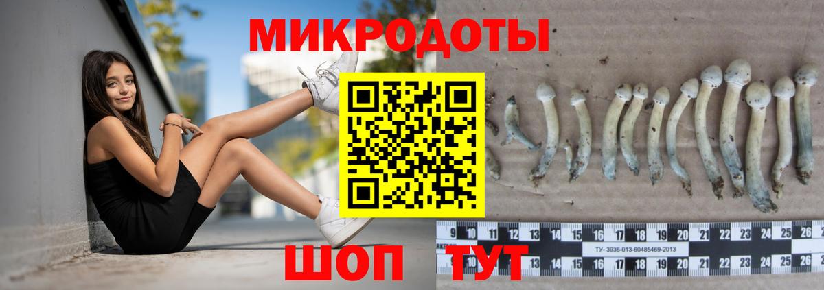 Псилоцибиновые грибы мухоморы Самара